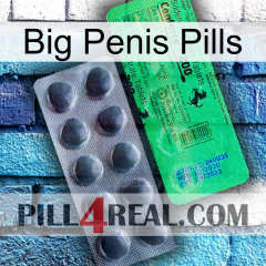 Big Penis Pills new04